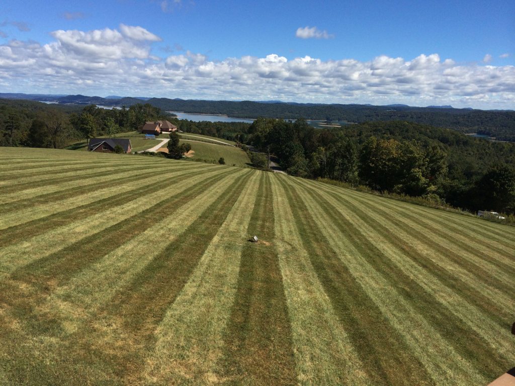 Lawn cut on side of hill